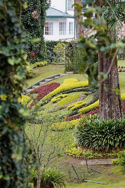 Nuwara Eliya-016